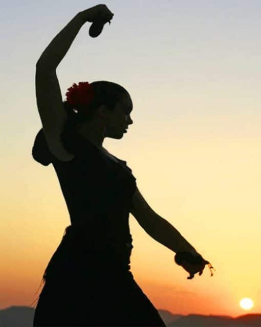 Flamenco Dancer Silhouette paint by numbers