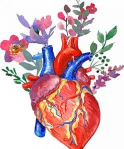 Floral Anatomical Heart paint by numbers