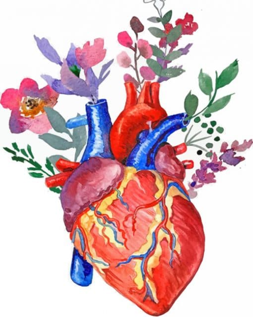 Floral Anatomical Heart paint by numbers