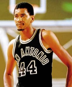 George Gervin Paint by numbers