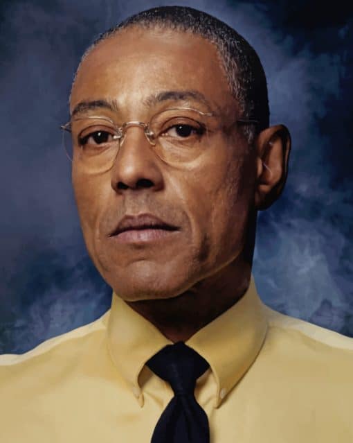Gus Fring Character painnt by numbers