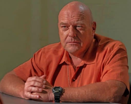 Hank Schrader Character Paint by numbers