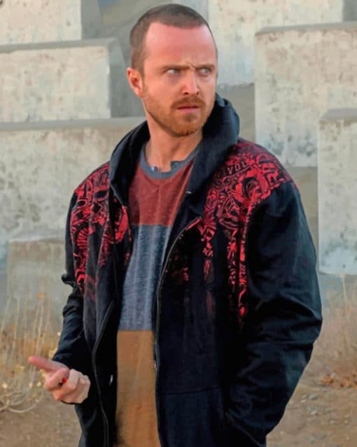 Jesse Pinkman Character Paint by numbers
