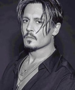 Johnny Deep paint By Numbers