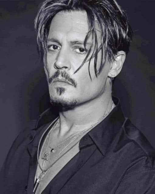 Johnny Deep paint By Numbers