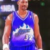 Karl Malone Paint by numbers