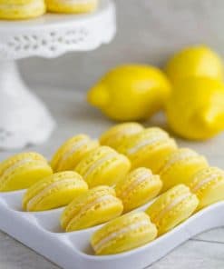 Lemon French Macarons Paint by numbers