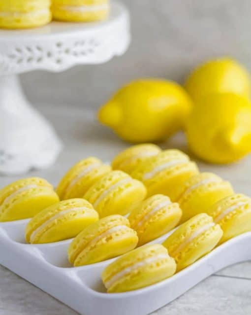 Lemon French Macarons Paint by numbers