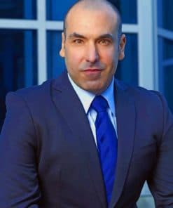 Louis Litt Paint by numbers