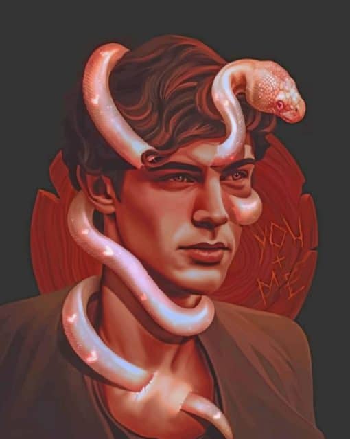 Man With Snake Face Illustration paint by numbers