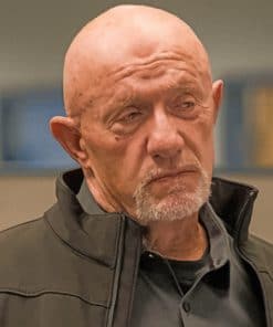 Mike Ehrmantraut Paint by numbers