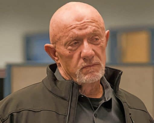 Mike Ehrmantraut Paint by numbers