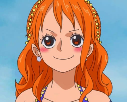 Nami Paint by numbers