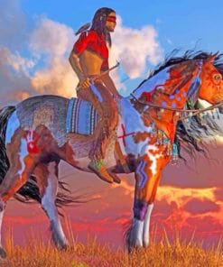 Native American On Horse paint by numbers