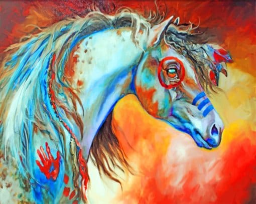 Native Indian Horse paint by numbers