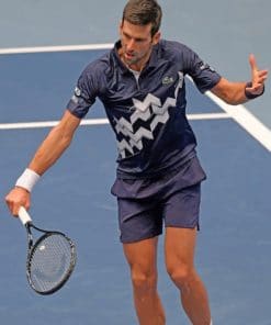 Novak Djokovic Player paint by numbers