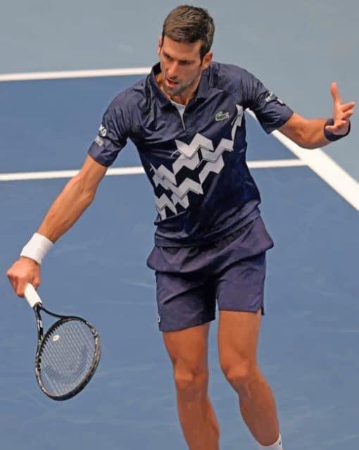 Novak Djokovic Player paint by numbers