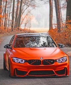 Orange BMW M3 paint by numbers
