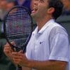 Pete Sampras Player Paint by numbers