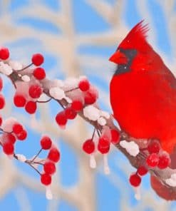 Red Cardinal paint by numbers