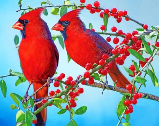 Red Cardinals paint by numbers