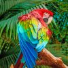 Red And Green Macaw Paint by numbers
