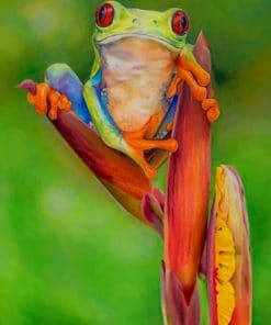 Red Eyed Tree Frog Paint by numbers