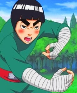Rock lee paint by numbers