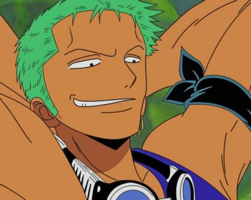 Roronoa Zoro Character Paint by numbers