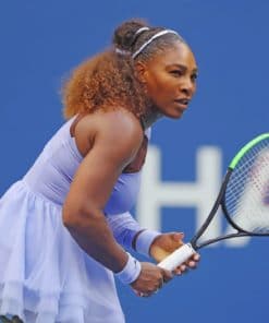 Serena Williams Paint by numbers
