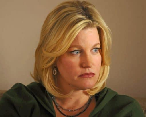 Skyler White Character Paint by numbers