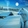 Snow Wolf paint by numbers
