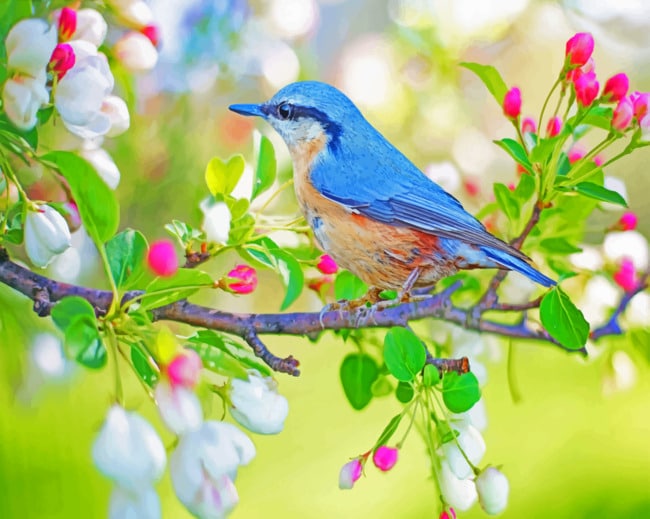 Spring Bird paint by numbers
