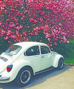 Spring VW paint by numbers