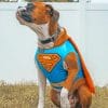 Super Dog paint by numbers