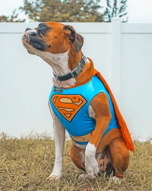 Super Dog paint by numbers