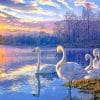 Swans Lake paint by numbers
