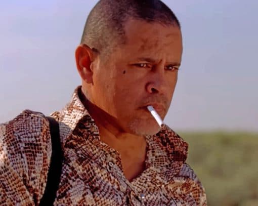 Tuco Salamanca Character Paint by nnumbers