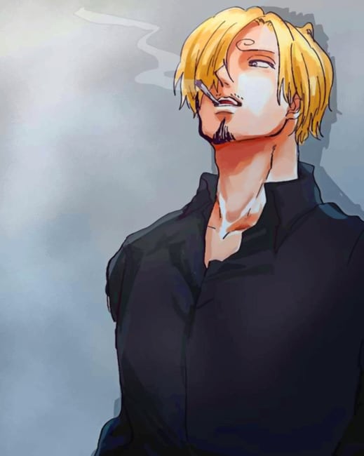 Vinsmoke Sanji Character One Piece Paint By Numbers Modern Paint By Numbers