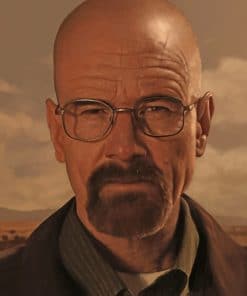 Walter White Character Paint by numbers