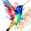 Watercolor Bird Paint by numbers