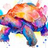 Watercolor Turtle paint by numbers