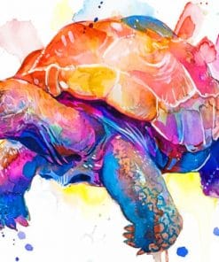 Watercolor Turtle paint by numbers