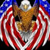 American Flag Eagle paint by numbers