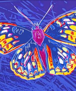 Andy Warhol Butterfly paint by numbers