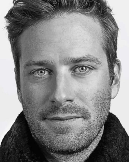 Armie Hammer paint By Numbers