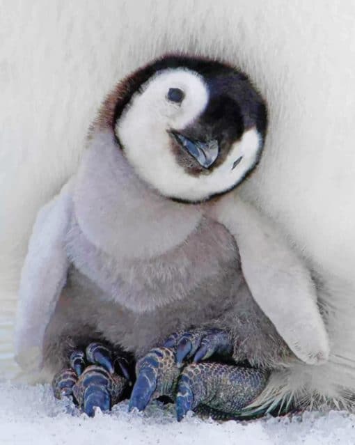 Baby Penguin paint By Numbers