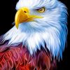Bald Eagle paint By Numbers