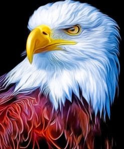 Bald Eagle paint By Numbers