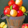 Basket Of Apples paint by numbers